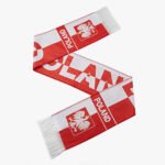 Wholesale Free Sample Custom Printed 100% Polyester High Quality Fashion Trend Football Fan Scarf